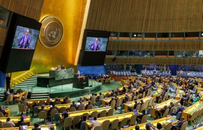 La asamblea de la ONU quiere la creación de un Estado palestino