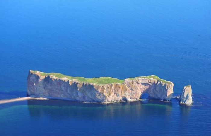 ¿Cuál será el futuro nombre de Percé Rock?