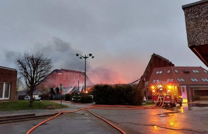 Incendio Sportica: “si todo va bien”, la sala de baloncesto de Gravelines reabrirá sus puertas en 2028