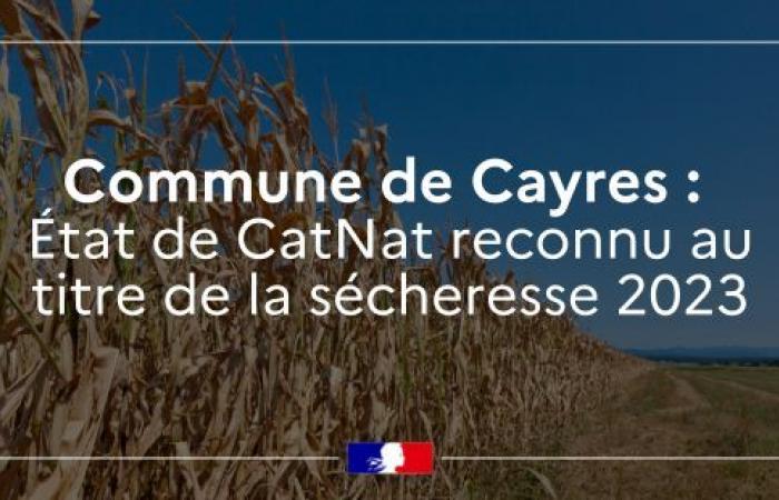 El municipio de Cayres reconocido en estado de desastre natural – Diciembre 2024 – Noticias 2024 – Noticias