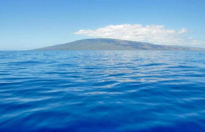 ¿Cómo llegó el agua a la Tierra? Los expertos avanzan una nueva teoría