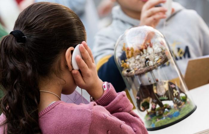 TALLER ADULTOS/NIÑOS A LOS SONIDOS DE TU CUEVA Chanac Sábado 8 de febrero de 2025