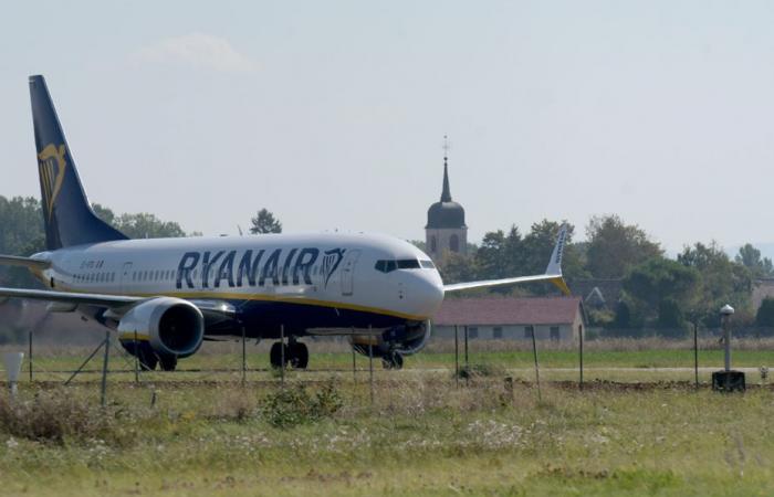 ¿Deberíamos seguir invirtiendo en el aeropuerto de Dole-Jura? Un colectivo de asociaciones dice “basta” y lanza una petición