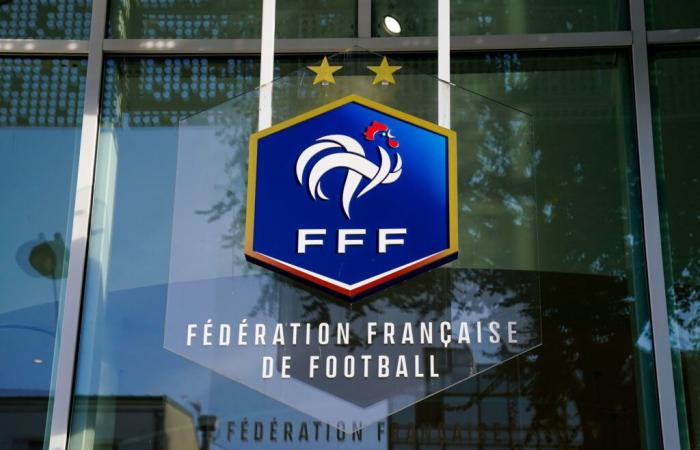 Elecciones FFF – Los dos candidatos prometen L3 y VAR en la Ligue 2