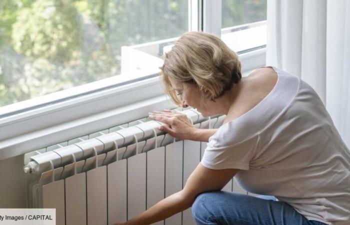 7 de cada 10 franceses se sienten “tomados por palomas” en lo que respecta a su factura de electricidad