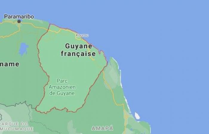 Guyana: operaciones a gran escala contra el lavado de oro ilegal – LINFO.re