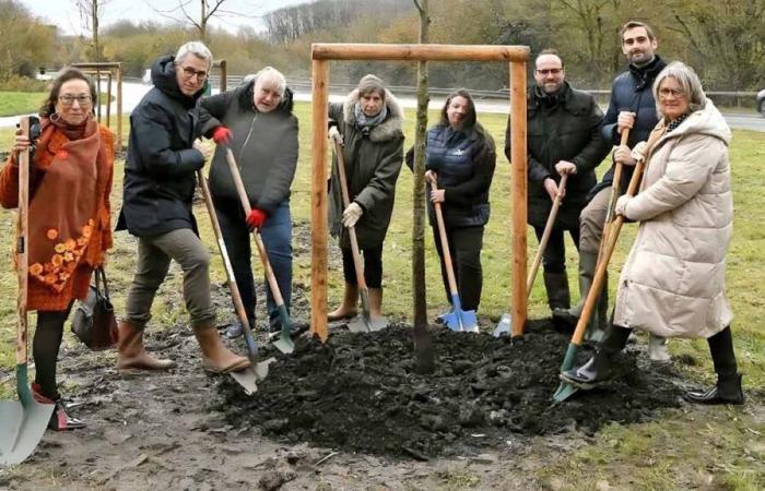 Val-d’Oise: 300 árboles plantados a lo largo de las carreteras para preservar la biodiversidad