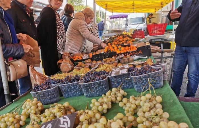 “Tómese su tiempo en lugares acogedores”: el Gers cultiva el arte del “turismo lento”