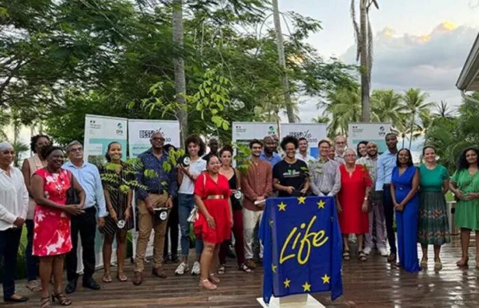 Biodiversidad: el programa BESTLIFE2030 apoya 57 proyectos en territorios de ultramar