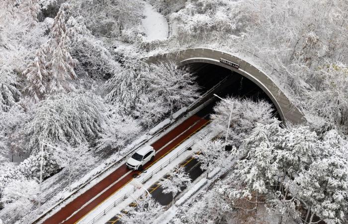 Nieve en Seúl y Corea del Sur: deleite y perturbación mientras la nevada récord de noviembre llega a la capital