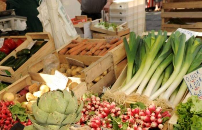 “Me daba vergüenza…” En Vendée, víctimas de una estafa vegetal