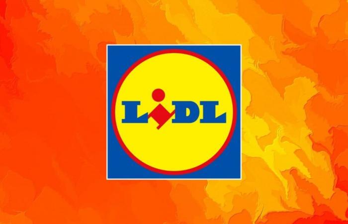 Cuando Lidl ofrece ese precio por su batería externa, ¿cómo no aceptarlo?