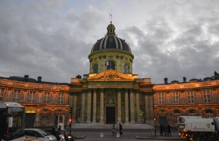 La Academia Francesa tiene un nuevo premio juvenil