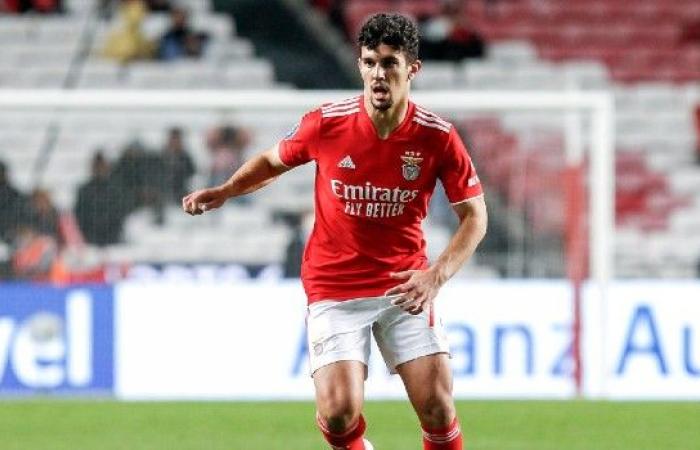 En la mira del PSG, Araujo renovará con el Benfica