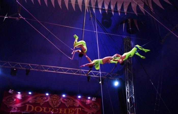 el circo navideño, transporte con descuento y gran acción de los jugadores de voleibol miércoles 3 de diciembre