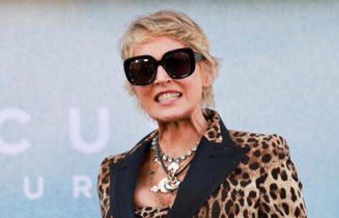 Sharon Stone sin piedad para un director con el que trabajó