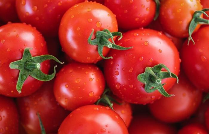 Las salsas de tomate presentadas como “italianas” supuestamente provienen del trabajo forzado de los uigures en China