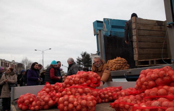 una venta excepcional de patatas y cebollas a precio de coste, aquí es donde