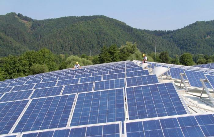 Los precios negativos están frenando el crecimiento de la energía solar en Europa – lobby | Noticias Montel