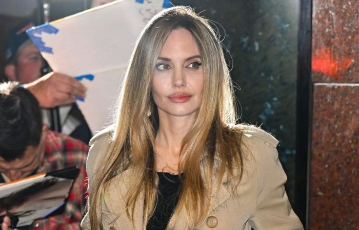 Angelina Jolie considera su carrera “un verdadero regalo”