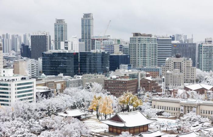 Deleite y perturbación cuando una nevada récord en noviembre llega a Seúl