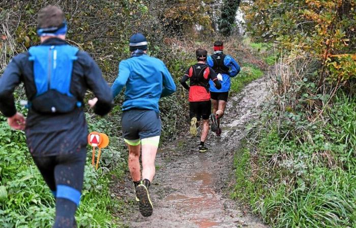 En Moncontour, 3.600 corredores celebrarán el 25 aniversario de la Menestrail, este sábado 7 de diciembre