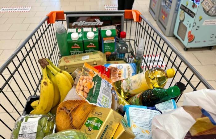 Nueva aplicación fiscal: con nosotros los suizos obtienen grandes descuentos en sus compras | política