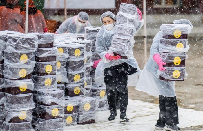 Nieve en Seúl y Corea del Sur: deleite y perturbación mientras la nevada récord de noviembre llega a la capital