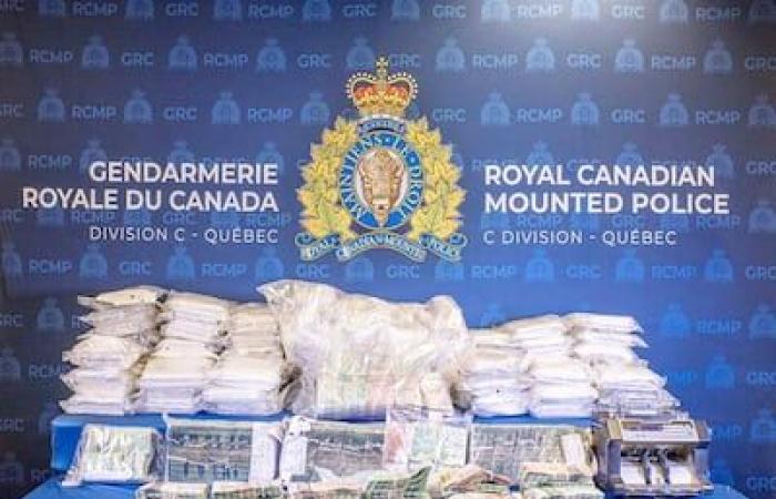 Acusado de tráfico de drogas en Estados Unidos: uno de los hermanos Scoppa espera quedarse en Quebec