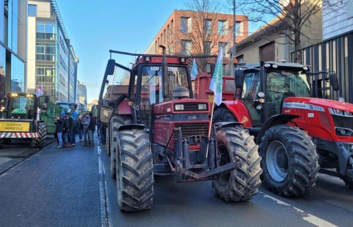 Censura: los agricultores de Hauts-de-France están cansados ​​y preocupados por volver al punto de partida