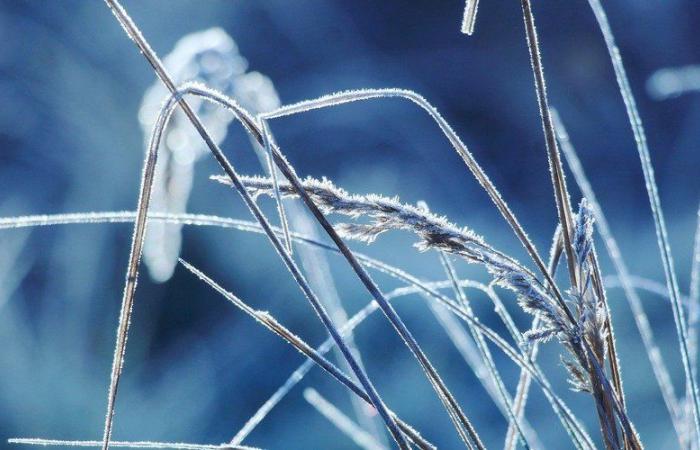 MAPA. Clima: se esperan nuevas heladas en Aveyron el jueves por la mañana, ¿en qué ciudades hará más frío?