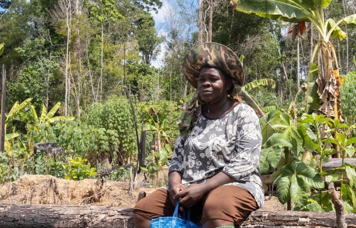 prácticas tradicionales en ayuda de la agricultura