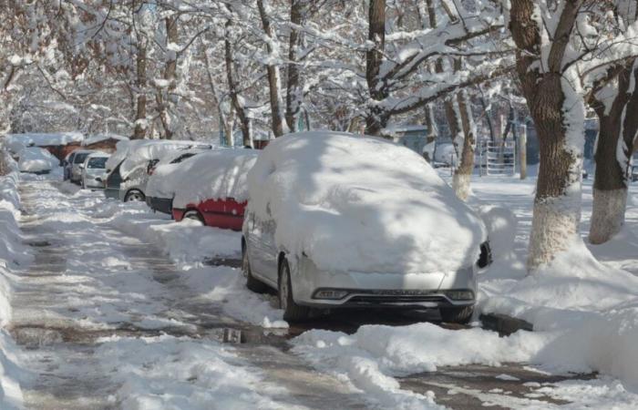 La nieve caerá en las llanuras este fin de semana, el pronóstico en su región