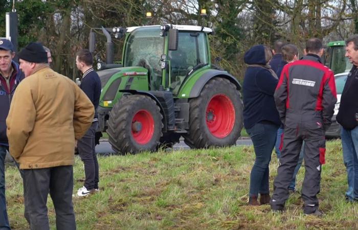 Por “menos complejidad en el papeleo”, los agricultores siguen movilizándose en Paso de Calais