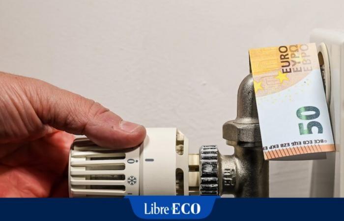 La distribución de energía será más cara en Valonia