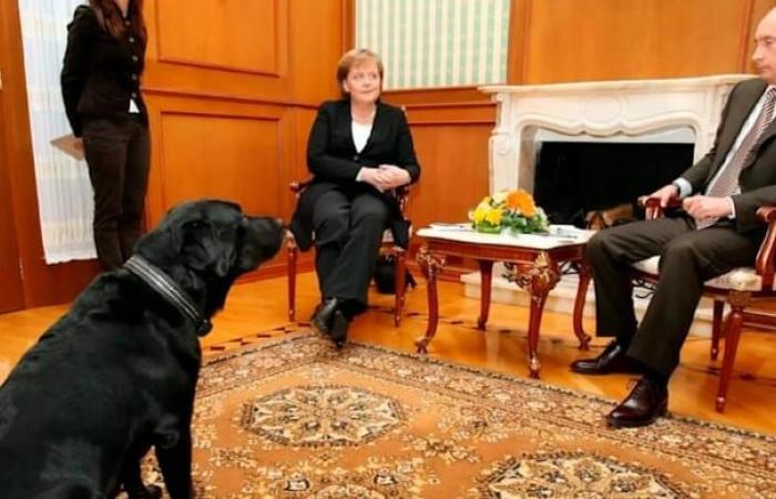 17 años después, el presidente Putin se disculpa con Merkel tras el incidente con un perro