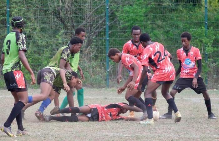 Quieren introducir el rugby en Francia continental a los jóvenes de Mayotte: piden ayuda