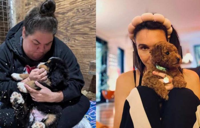 7 famosos que recientemente adoptaron un cachorro