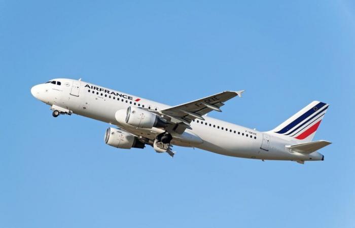 Air France-KLM, a la vanguardia en combustibles sostenibles