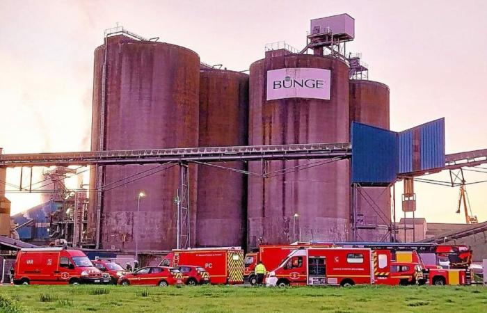 En Brest, comienza el incendio del gigante de la soja Bunge en el puerto comercial [Vidéo]