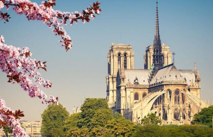 Reapertura de Notre-Dame: el desafío de la protección contra incendios de los edificios históricos