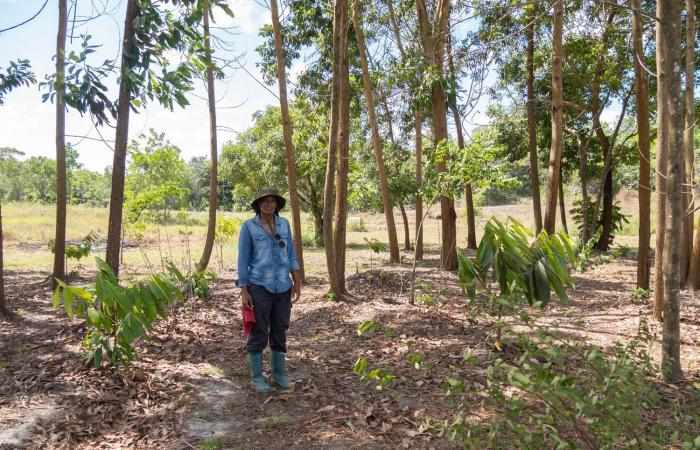 prácticas tradicionales en ayuda de la agricultura