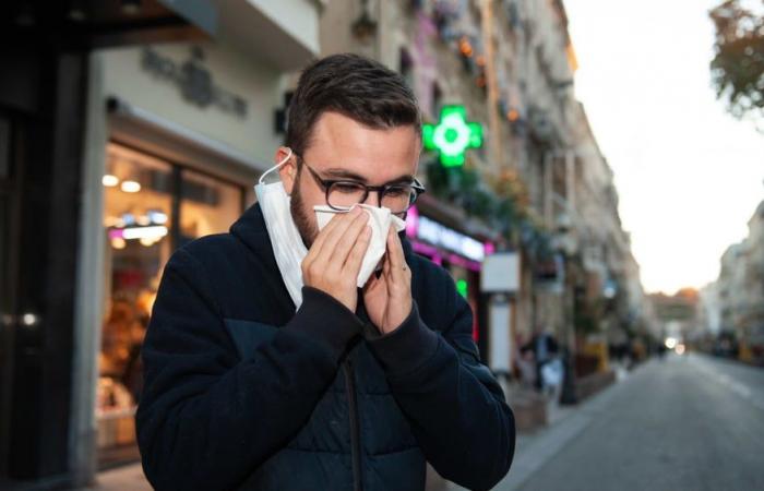 La epidemia de gripe ha llegado a Francia continental