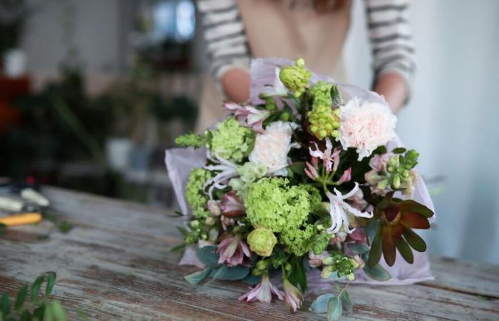 Se busca florista y cuidador para Dordoña