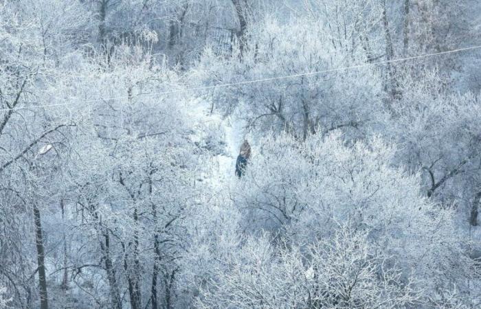 Nieve, viento frío… El invierno realmente comenzará este fin de semana