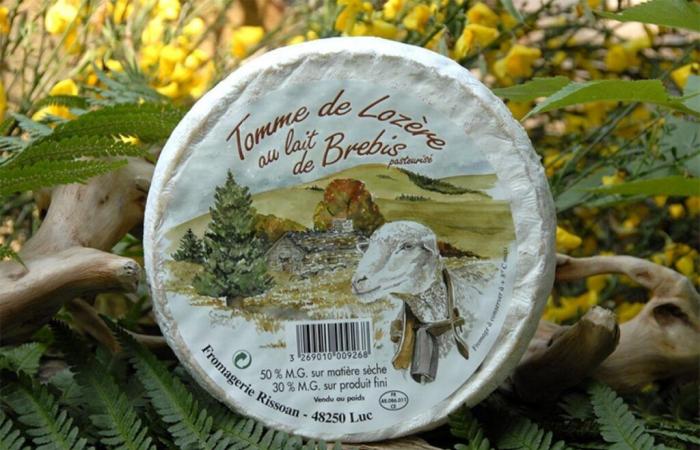 Queso Lozère retirado del mercado en toda Francia