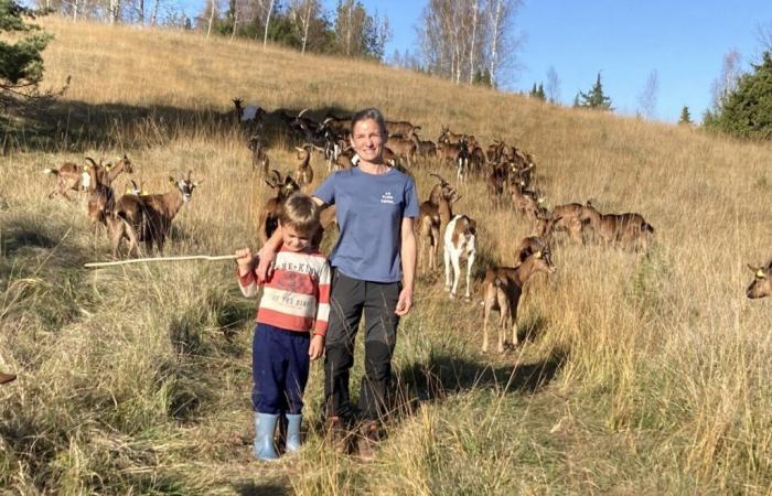 Historia real. Este informático lo dejó todo para convertirse en criador de cabras en el Jura