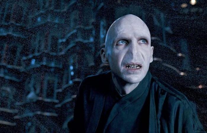 El actor de Voldemort tiene una idea muy concreta para su sustituto en la serie Max.