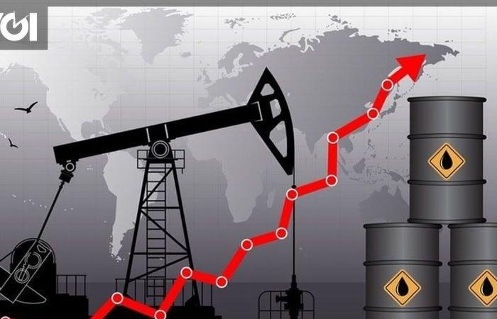 La producción de petróleo de Pertamina para el próximo año alcanzará los 748.000 barriles por día