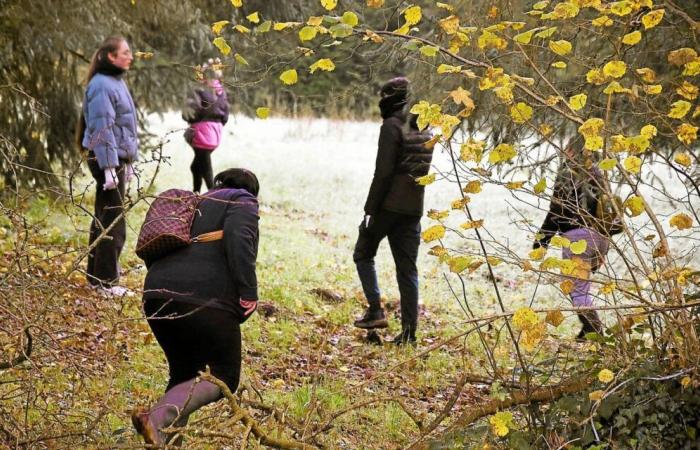 “Es el corazón de una madre el que habla”: una costarricense instiga una cacería salvaje para encontrar a Morgane